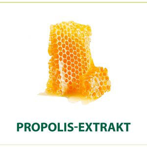 Produktbild für Seife Palmolive Hygiene-Plus Family