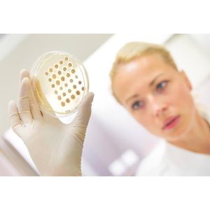 Produktbild für Einmalhandschuhe NITRAS Ideal Care, weiß, 100 Stück