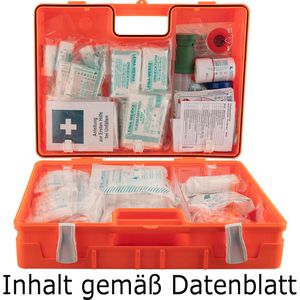 Leina-Werke Erste-Hilfe-Koffer Pro Safe DIN 13157, Heim und Garten