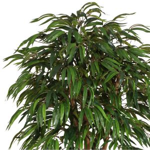 Produktbild für Kunstpflanze Creativ-green Ficus