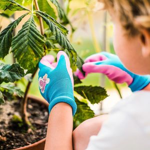 Produktbild für Arbeitshandschuhe Grüntek Kinder-Gartenhandschuhe