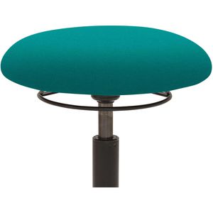 Produktbild für Fitness-Hocker Mayer myMOBILIS, 1166 30320
