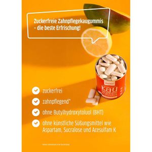 Produktbild für Kaugummis Xucker Fruchtmix ohne Titandioxid