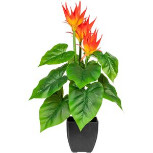 Produktbild für Kunstpflanze Creativ-green Guzmania