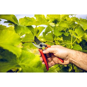 Produktbild für Gartenschere Original-LÖWE 14.104, Bypass