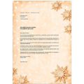 Zusatzbild Weihnachtsbriefpapier Sigel DP234