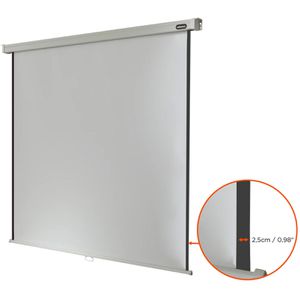 Produktbild für Beamer-Leinwand Celexon Rollo Professional