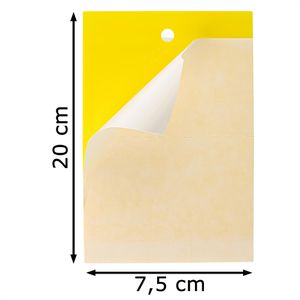 Produktbild für Gelbtafeln Nexa-Lotte Gelbstecker, Set, zum Hängen und Stecken