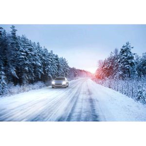 Produktbild für Auto-Lampe Philips WhiteVision ultra, 4200 Kelvin, H4