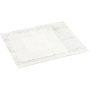 Produktbild für Pflaster Holthaus Ypsipor, 10 Strips