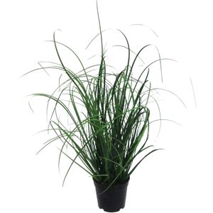 Kunstpflanze Creativ-green Grasbusch