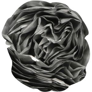 Produktbild für Seidenpapier Clairefontaine 95476C, silber