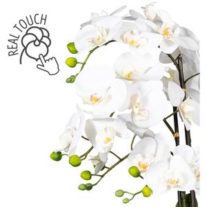 Höhe 60 Orchidee, cm AG Böttcher im – Creativ-green Phalaenopsis, Kunstblume Keramik-Topf, weiß,