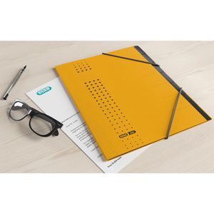 Produktbild für Ordnungsmappe Elba 42495 GB chic, A4