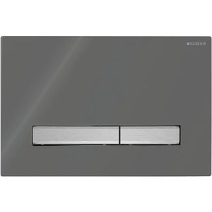 Produktbild für Betätigungsplatte Geberit Sigma50, Kunststoff &amp; Metall, für WC