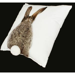Produktbild für Osterdeko Frank-Flechtwaren 337270