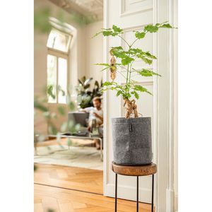 Produktbild für Übertopf Lechuza TRENDCOVER 32 Filz, dunkelgrau, Ø 32 x 33 cm