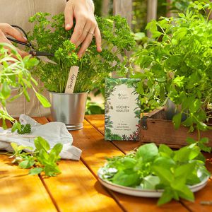 Produktbild für Geschenkset OwnGrown Küchen Kräuter