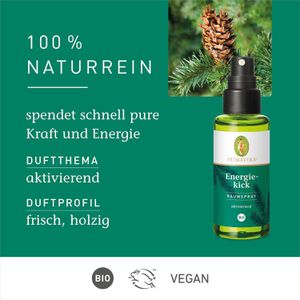 Produktbild für Raumduft Primavera 19504 Raumspray Bio