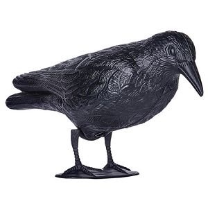 Vogelabwehr
