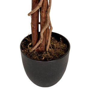 Produktbild für Kunstpflanze hJh-OFFICE Mangobaum
