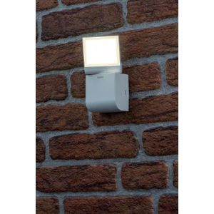 Produktbild für LED-Außenstrahler Theben theLeda S8-100L, IP55 wasserdicht