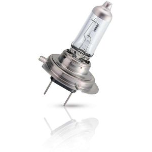 Produktbild für Auto-Lampe Philips LongLife EcoVision, 3100 Kelvin, H7