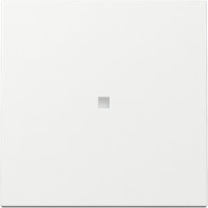 Schalter-Wippe Gira System 55, 329003