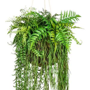 Produktbild für Kunstpflanze Creativ-green Dekokugel