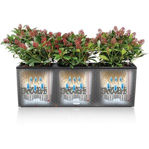 Produktbild für Pflanzkasten Lechuza TRIO Stone 30 steingrau