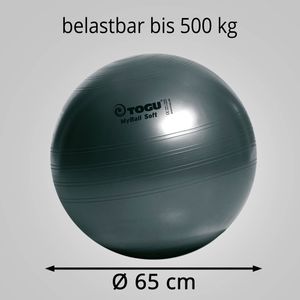 Produktbild für Gymnastikball Togu MyBall Soft