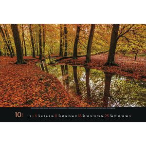 Produktbild für Bildkalender Korsch Colourful Seasons, Jahr 2026