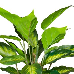 Produktbild für Kunstpflanze Creativ-green Dieffenbachie