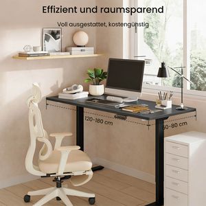 Produktbild für Schreibtisch FlexiSpot E1S Pro, schwarz / grau
