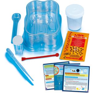 Produktbild für Experimentierkasten Galileo Original Salzkrebse