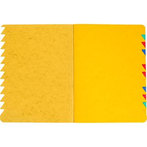 Produktbild für Ordnungsmappe Pagna Easy 24131-05, A4