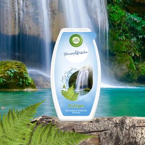 Produktbild für Raumduft Airwick Duftgel, 150 g