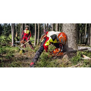 Produktbild für Forsthelm Protos Integral Forest G16, orange-grau