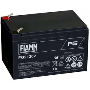 AGM-Batterie FIAMM FG21202