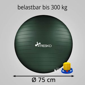 Produktbild für Gymnastikball Tresko Anti-Burst, mit Luftpumpe
