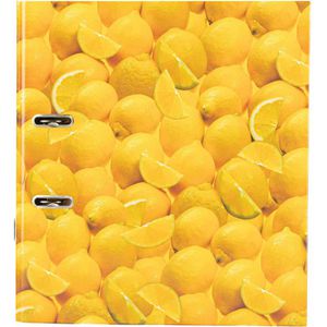 Produktbild für Ordner Herlitz 10546901 maX.file Fruits Karton, A4