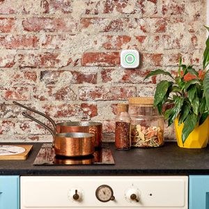 Produktbild für Gasmelder Shelly Gas CNG