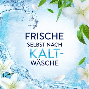 Produktbild für Weichspüler Lenor Frisches Erwachen Vorteilsgröße