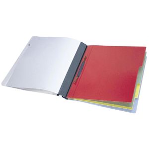 Produktbild für Personalhefter Durable Divisoflex, 2557-06, A4