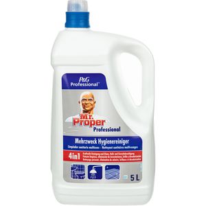 Hygienereiniger Meister-Proper Professional 4in1