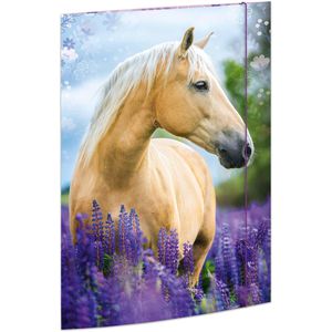 Zeichenmappe RNK 45381, Pferdeträume, A3