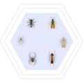 Zusatzbild Insektenspray Varena