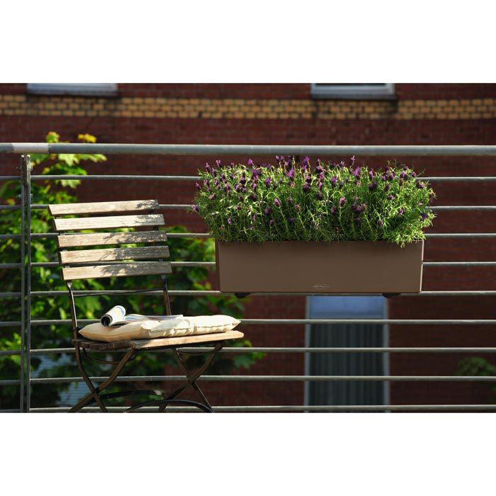 Lechuza Blumenkasten BALCONERA Color 80 muskat, 79 x 19 x 19 cm