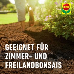 Produktbild für Blumenerde Compo SANA Bonsaierde