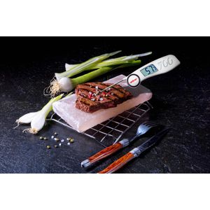 Produktbild für Einstichthermometer ebro TLC 700, digital